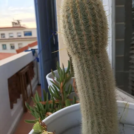 Face A La باندول