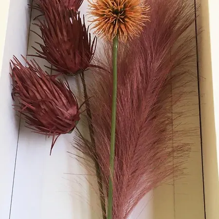 Face A La شقة باندول