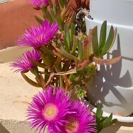 Face A La דירה *